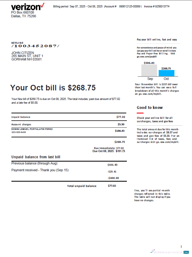 download download USA Verizon utility bill template in Word and PDF formats, version 3 PDF template PDF template